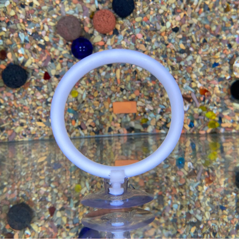 1pcs Plastic Fish Tank Aquariu - Gymnastic Ring 评论和价格